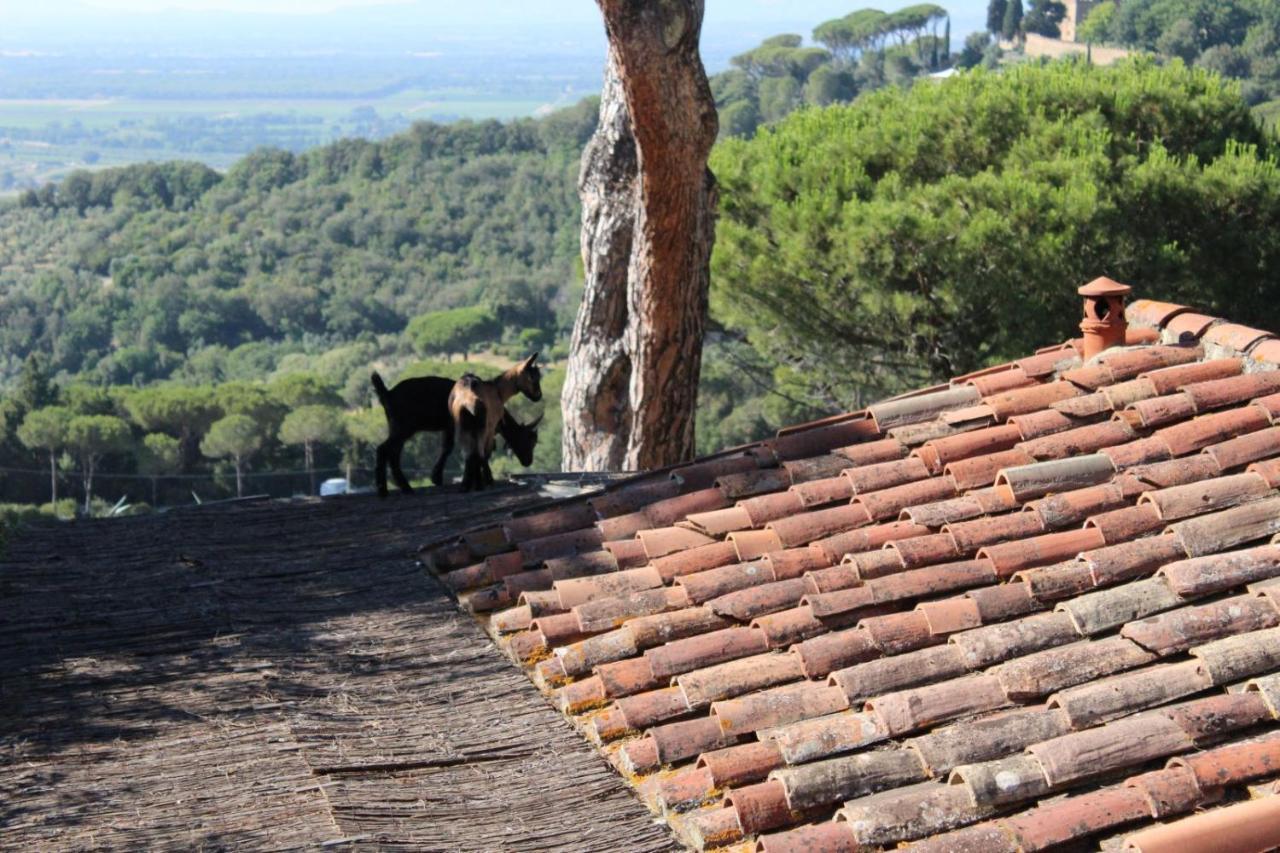 Agricamping La Gallinella Castagneto Carducci Kültér fotó